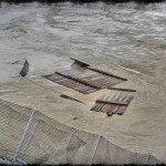 Teile der Medium Schwimmen auf.