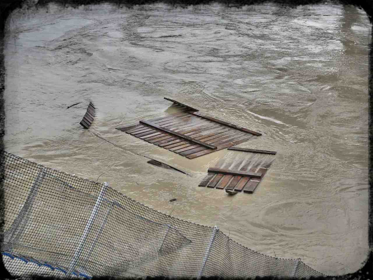 Teile der Medium Schwimmen auf.